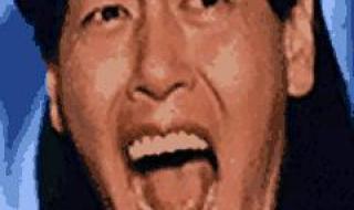 爱情公寓丽萨扮演者